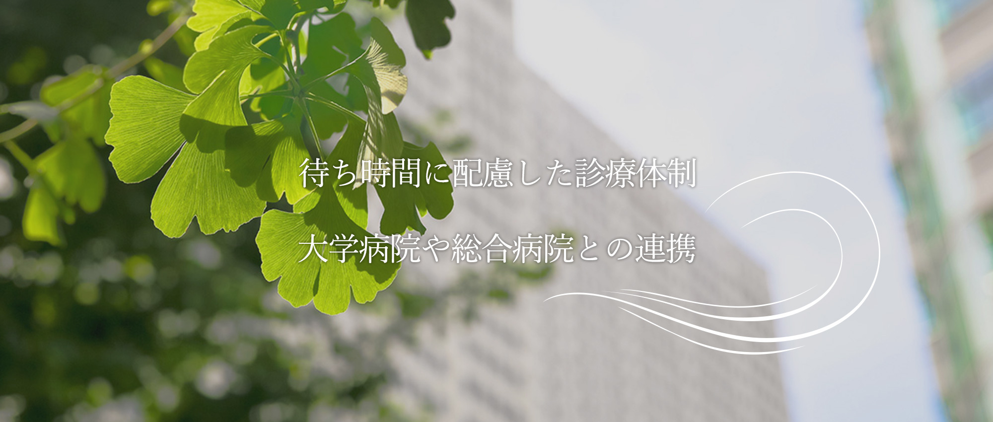 札幌市東区北6条東 皮膚科 美容皮膚科 皮膚悪性腫瘍科